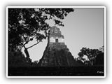 72. Tikal