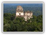 73. Tikal