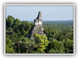 77. Tikal