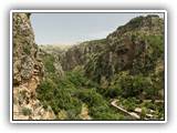 Liban 427      Dolina Wadi Kadisza